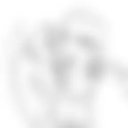 weird flukes.png