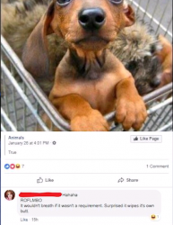 1566076504807.png 1566076504807.png