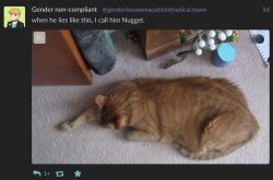 9D8697DD-AFF8-40FC-96B8-03B7EC2BF401.jpeg