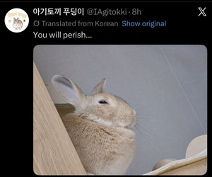 IMG_6518.jpeg