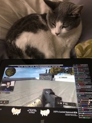 watching-DDM-not-my-photo.jpg