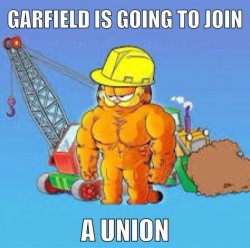 85A87E86-9F14-4121-8E1D-D41056B30E6C.jpeg
