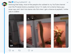 Projared losing EPIC tweet subs.PNG