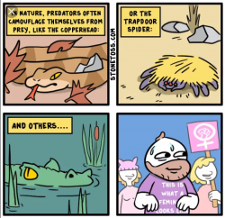 1566008499243.png
