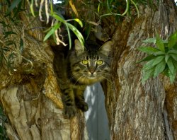 DSC_2372.jpg
