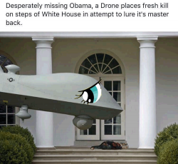 sad drone.png