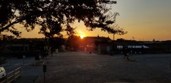 20190828_194426.jpg