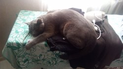 20180619_173215.jpg
