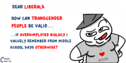 q5harowzwlj31.png