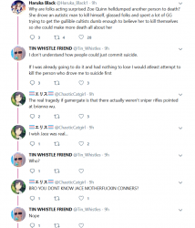 ChaoticCatgirl.PNG