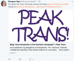 oger peak trans - Copy.png