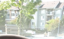 20190903_123802.jpg