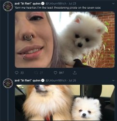 Blink twice if you're hurt Doggo.jpg