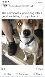 8FDCBA8E-D2DB-4C0D-AE3A-AB5B9B066747.jpeg
