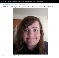 troll_or_troon.jpg