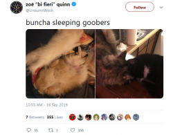 UnburntWitch17.09.2019.2.PNG