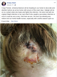 2019 01 19 Haleigh head wound.png