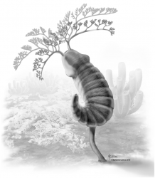 800px-Herpetogaster_collinsi_reconstruction.png