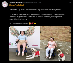 queer crip roll call.png