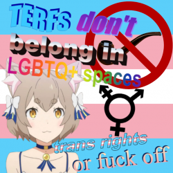 m1.png