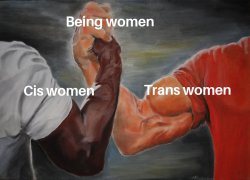 m2.jpg