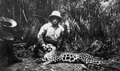 69bcae93dbe784ed57b589565c0cdee3df-teddy-roosevelt-2.w710.webp