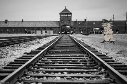 KlaudAuschwitz.jpg