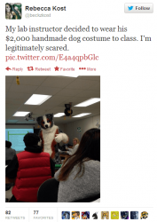 8177C358-DE1A-4E43-9E8C-4700BA4D8D37.png