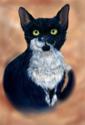 portrait.png