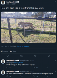 firefox_2019-10-26_02-22-26.png