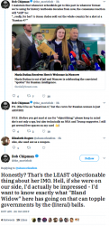 bob male feminist.png
