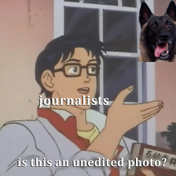 1572536494100.png