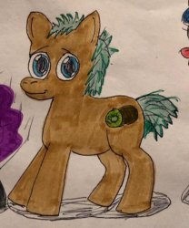 35AB454D-D6F2-4B16-9777-83419C63F163.jpeg