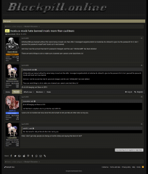 Screenshot_2019-11-03 JFL - Incels co mods hate banned incels more than cucktears.png