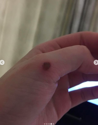 Screen Shot 2019-11-04 at 08.47.19.png