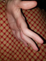 49021418287_ce01aee8cc_o.jpg