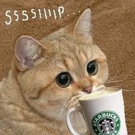 Coffee Overdose