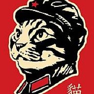 Chairman Meow