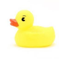 duckchu