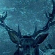 RavenStag