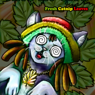 RastaCat:3