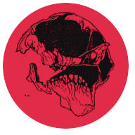 CarloVonSexron