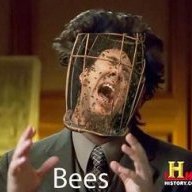 not the bees