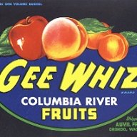 geewizz