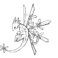 nyon