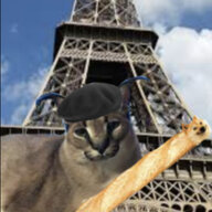 TheFroggiestcat