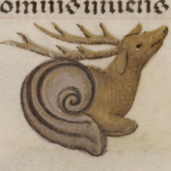Frail Snail