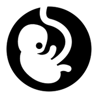 foetus13