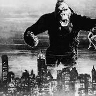 BlackGorillaPerson