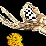 left leg of